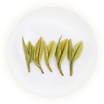 Inherited reference illustration for Zixi Baicha infused leaves