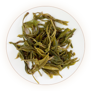 Inherited reference illustration for Zunyi Maofeng infused leaves